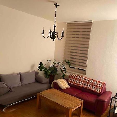 Schone Altbauwohnung Mit Grun In Ruhiger Lage Leipzig Bagian luar foto