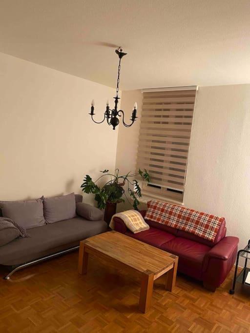 Schone Altbauwohnung Mit Grun In Ruhiger Lage Leipzig Bagian luar foto